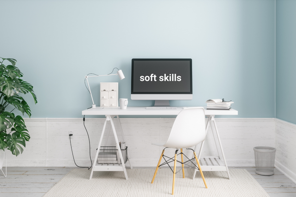 Soft Skills training details